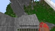 The Port number shown in the world chat (Image via Minecraft)